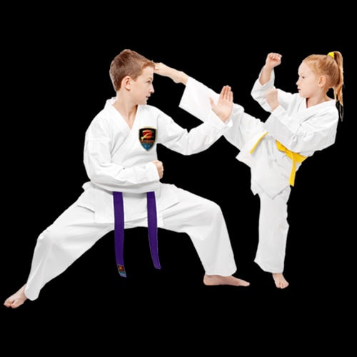 Kids learning martial arts